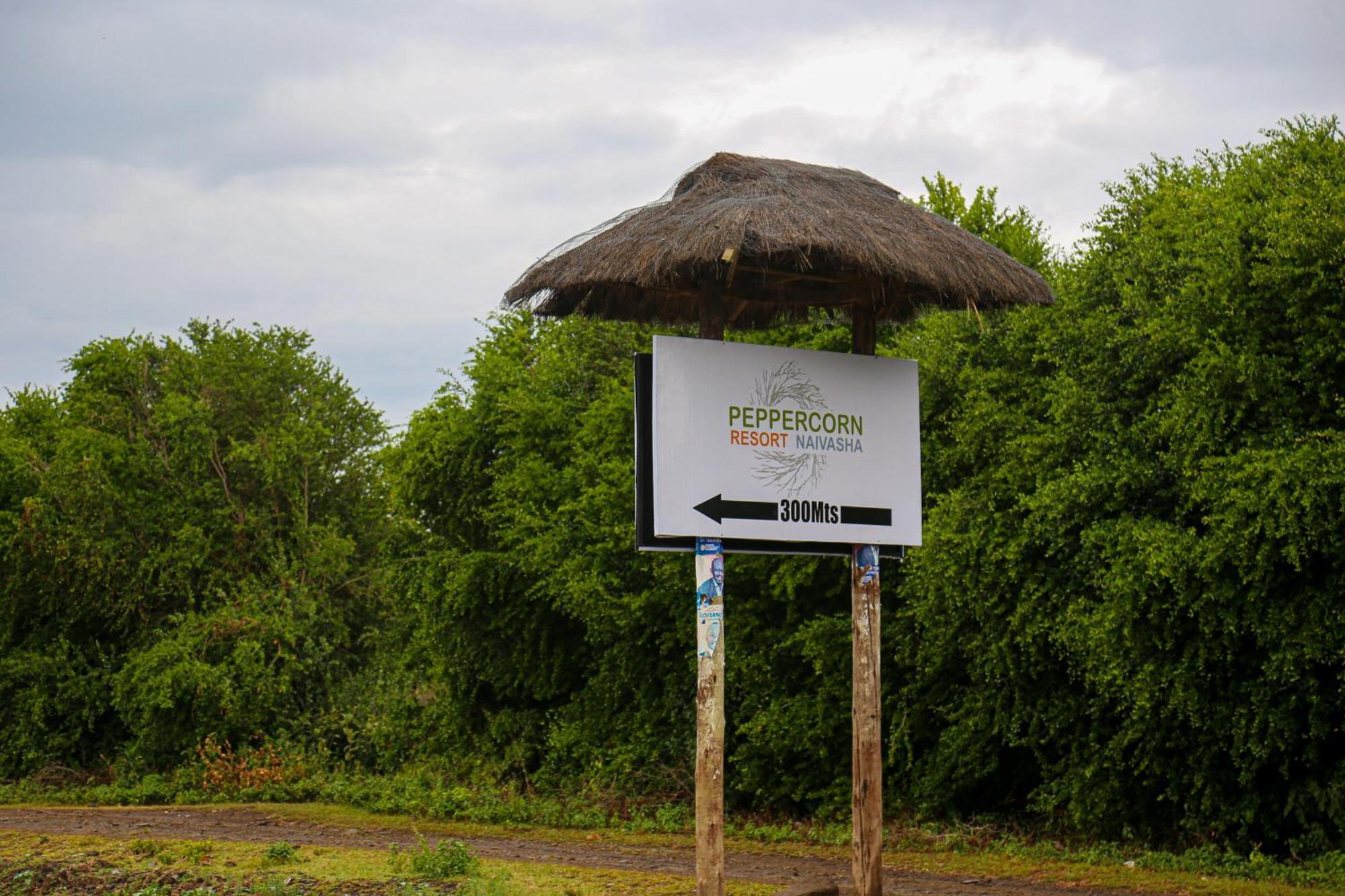 Naivasha Peppercorn Holiday Resort Buitenkant foto